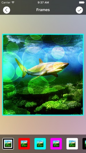 Alive Photo Studio(圖3)-速報App