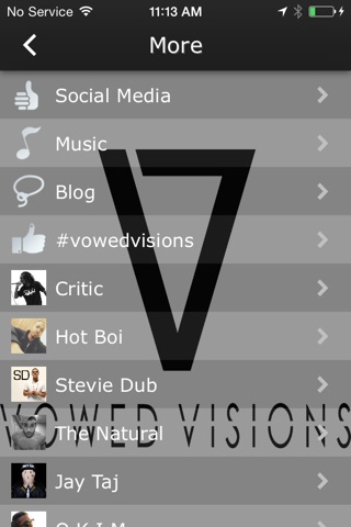 Vowed Visions screenshot 2