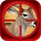 Deer Hunting Shooting Game