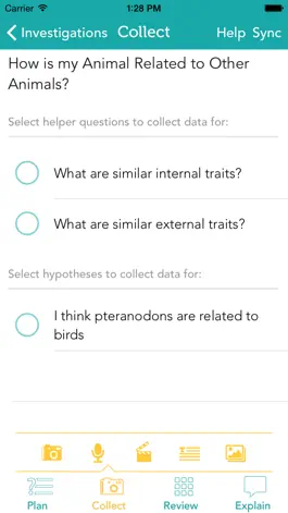 Game screenshot Zydeco Inquiry hack