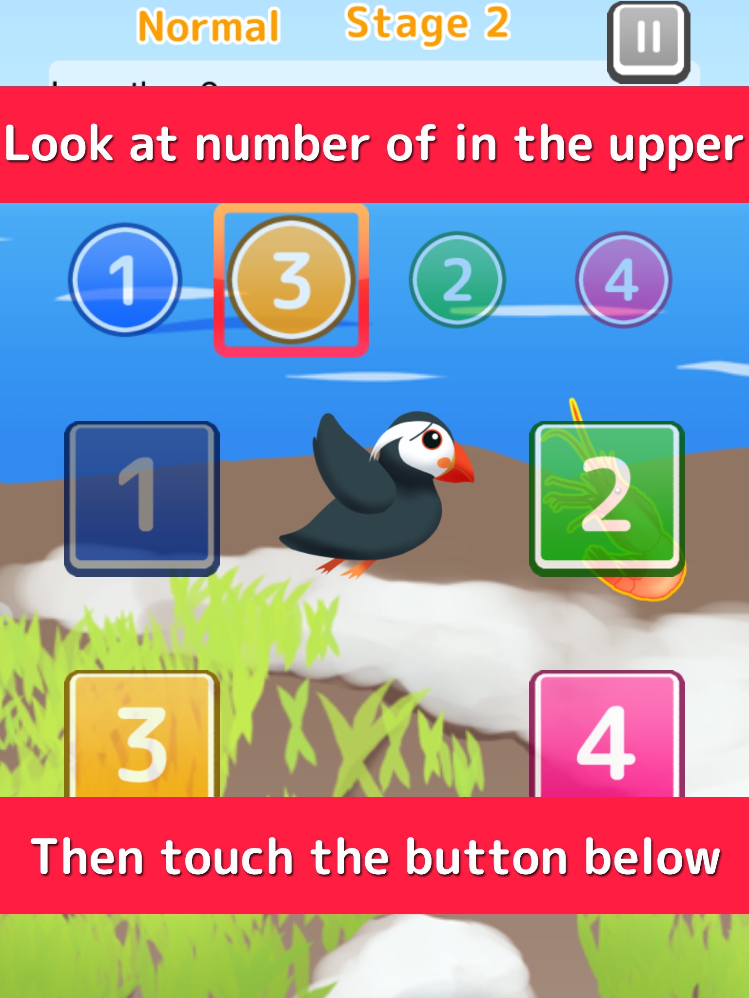 Etupirka - puffin bird numbers action