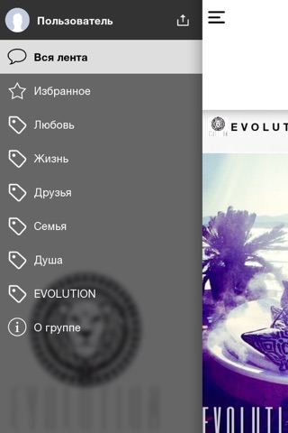 Evolut1on screenshot 3