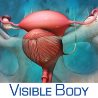 Reproductive and Urinary Anatomy Atlas: Essential Reference for Students and Healthcare Professionals apk