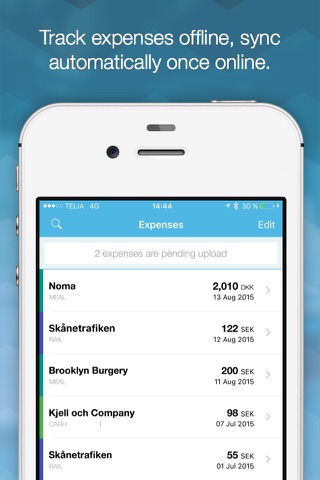 Bold Expenses screenshot 4