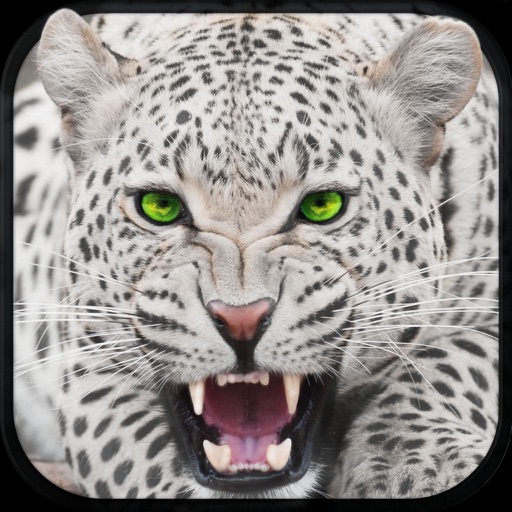 Wild Snow Leopard Simulator 3D – Big Cat Hunting & Chasing Wildlife Animals on Mountains icon