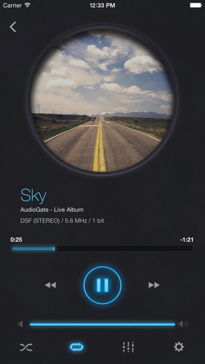 iAudioGate