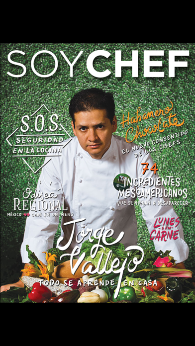 Soy Chef Digital Screenshot