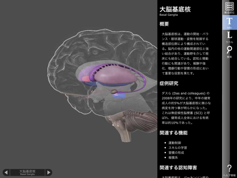 3D Brainのおすすめ画像4