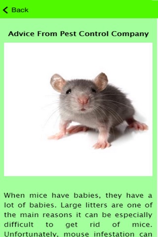 How To Get Rid Of Mice Guide screenshot 3