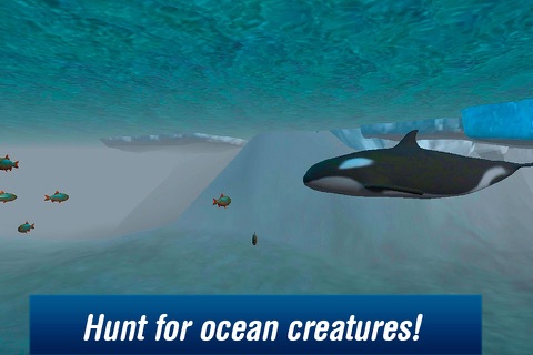 Killer Whale: Orca Simulator 3D Free screenshot 2