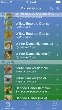 Game screenshot Pocket Guide UK Dragonflies hack