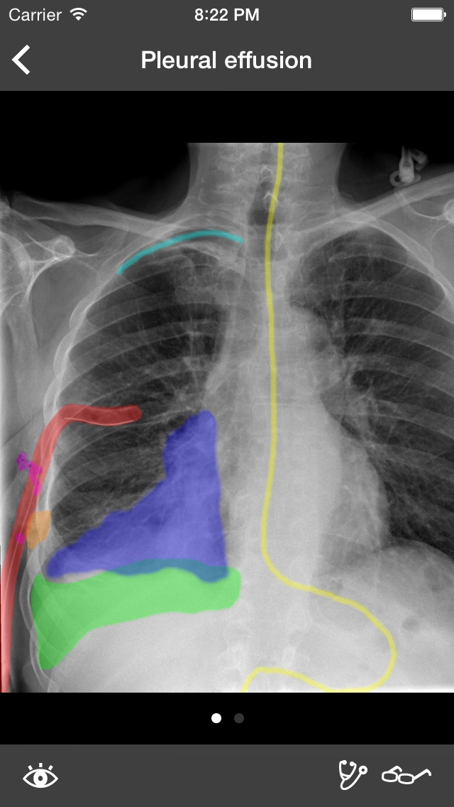 RealWorld Radiology Screenshot