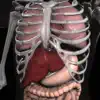 Anatomy 3D - Organs App Feedback