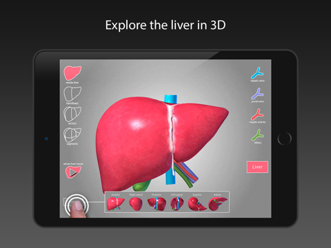 Surgical Anatomy of the Liverのおすすめ画像3