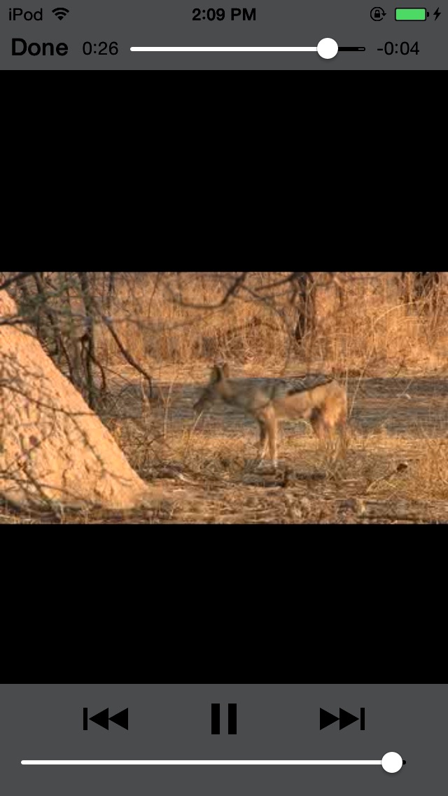 Sasol Soogdiere vir Beginners (Lite): Blitsfeite, foto's en video's van 46 Suider-Afrikaanse diereのおすすめ画像4