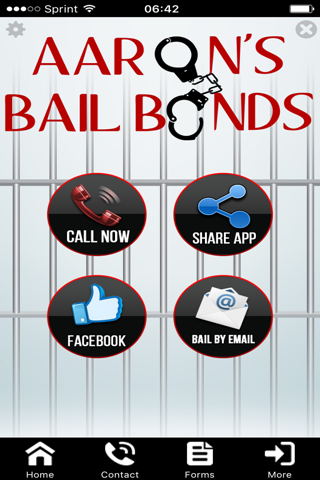 Aaron's Bail Bonds screenshot 3