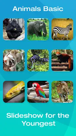 Game screenshot Safari and Jungle Animal Picture Flashcards for Babies, Toddlers or Preschool (Free) apk