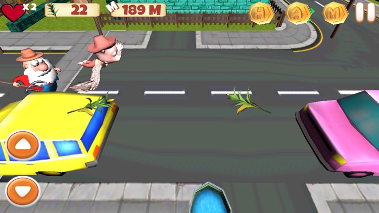 Super HAM Run 3D