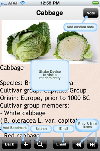 Edible Plants Encyclopedia screenshot 2