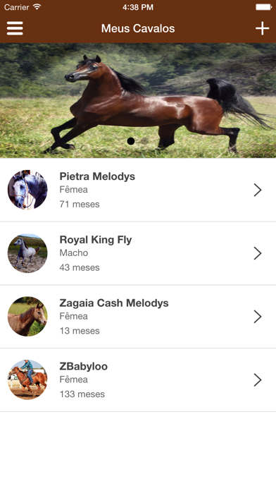 Screenshot #2 pour Meu Cavalo App