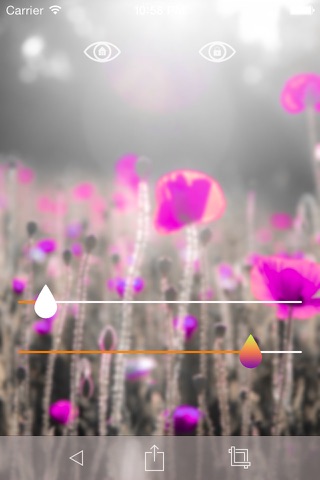 Flower Gallery Pro screenshot 3