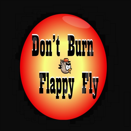 Don't Burn Flappy Fly iOS App