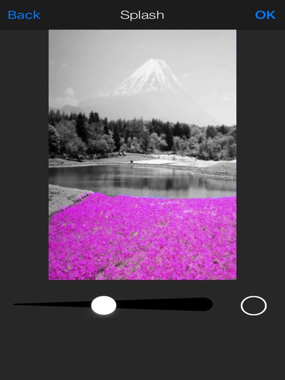 Photo Editor - Use Amazing Color Effects iPad screenshot 2 - Photo & Video app