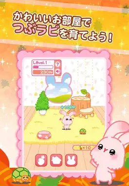Game screenshot Tsubu-rabi! - The free cute rabbit collection game apk