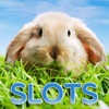 Spring Animals Slots - FREE Casino Machine For Test Your Lucky, Win Bonus Coins In This Fabulous Machine