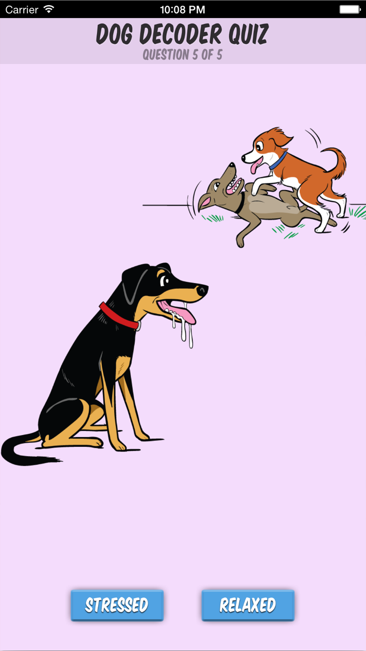 Dog Decoder screenshot 5