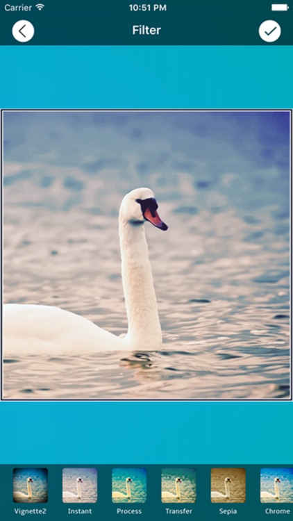 Pic Tap Share - Photo Editor screenshot-4