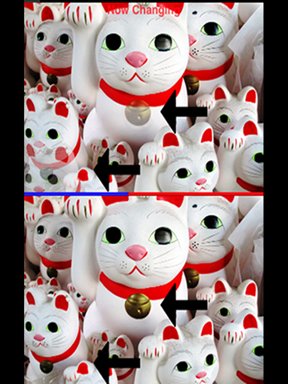 Screenshot #6 pour Appearing 5 Differences