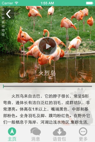 南京游客助手 screenshot 4