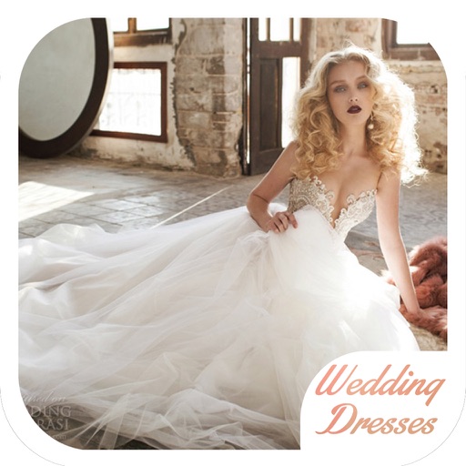 Wedding Dress and Gown Ideas for iPad