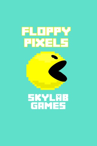 Floppy Pixels screenshot 2