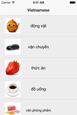 Learning Vietnamese Basic 400 Words screenshot 3