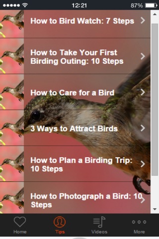 Bird Watching - Discover The Fascinating World of Birds screenshot 3