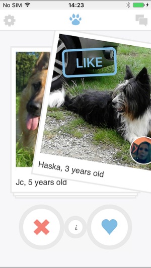 Twindog(圖3)-速報App