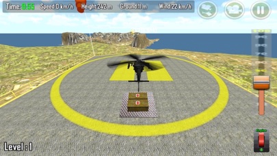 Gunship Carrier Helicopter 3D iPhone screenshot