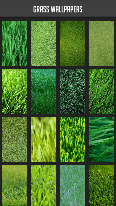 Screenshot #1 pour Grass Wallpapers