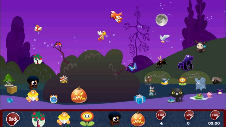 Castle Night Garden : The Hidden Object