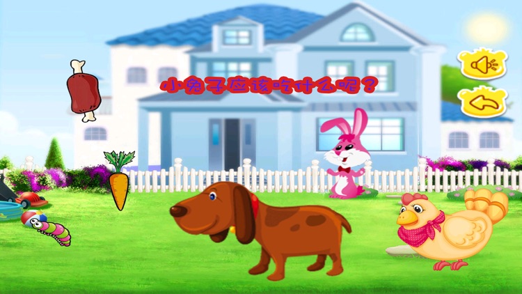 猪猪动物饲养员,儿童游戏