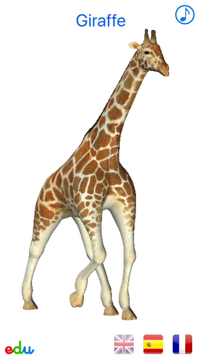 Animals Animated Multilingual - Free