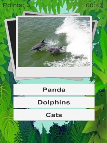 Screenshot #4 pour Animal Quiz Kids
