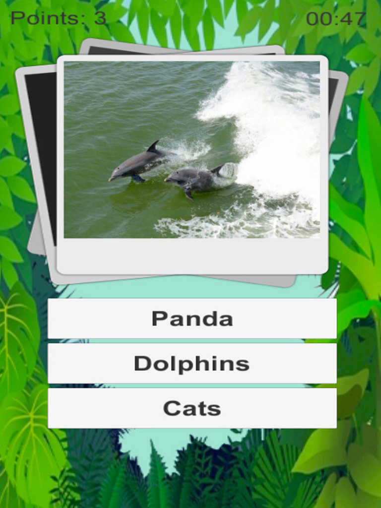 Animal Quiz Kids
