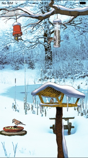 Vögel füttern und erkennen(圖2)-速報App