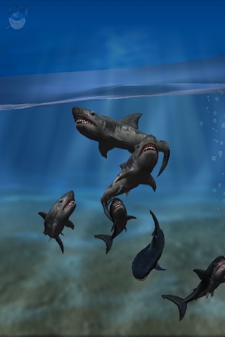 Shark Fingers! 3D Interactive Aquariumのおすすめ画像1