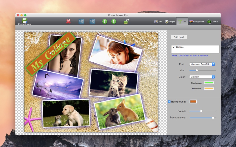 Poster Maker Lite - Collage - 3.5.6 - (macOS)