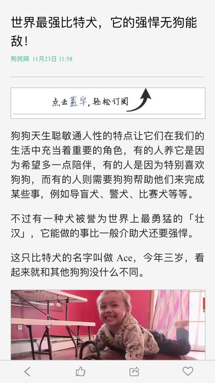 宠物头条 - 狗狗图片