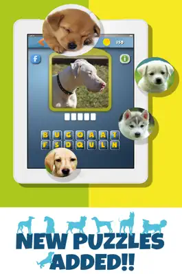 Game screenshot DogdomDogs - What's the dog breed? Guess the Dog from the Pics mod apk